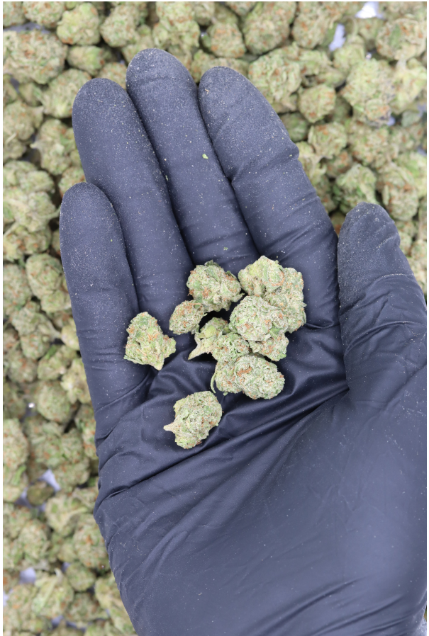 Lemon Lime Smalls All Strains Cannabis Flower Lemon Lime Smalls All Strains Cannabis Flower