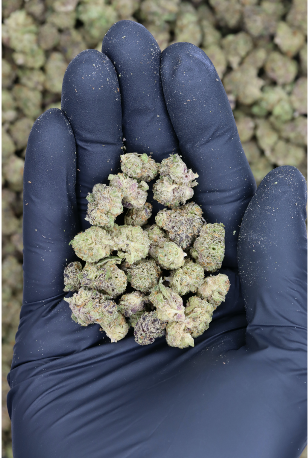 Pink Nerdz Smalls (1/2lb) Wholesale Flower bulk Pink Nerdz Smalls (1/2lb) Wholesale Flower bulk
