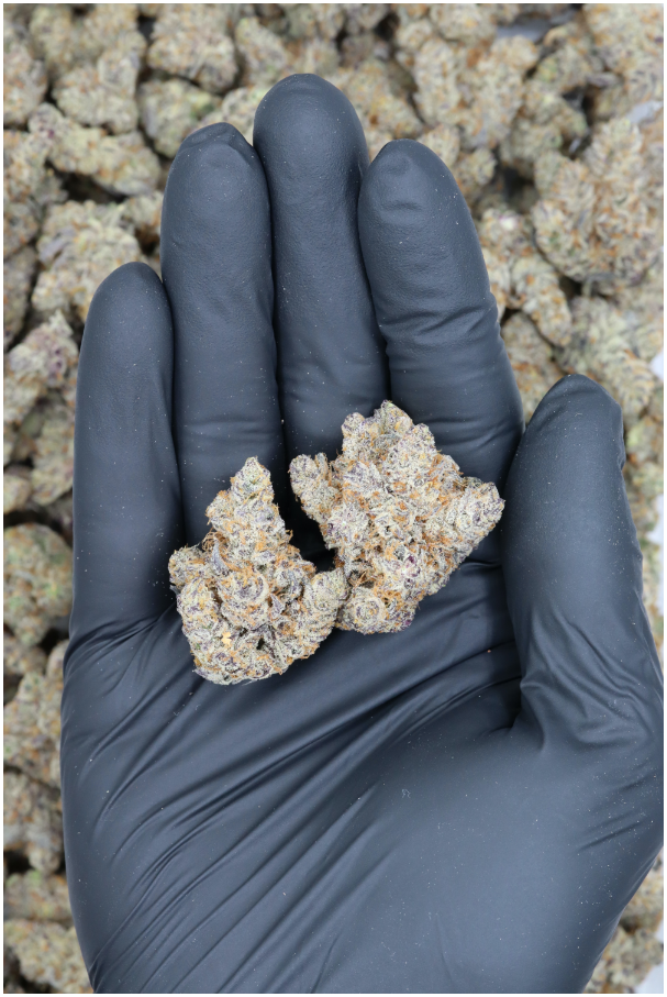 Island Exotics Sherbquake All Strains anxiety Island Exotics Sherbquake All Strains anxiety