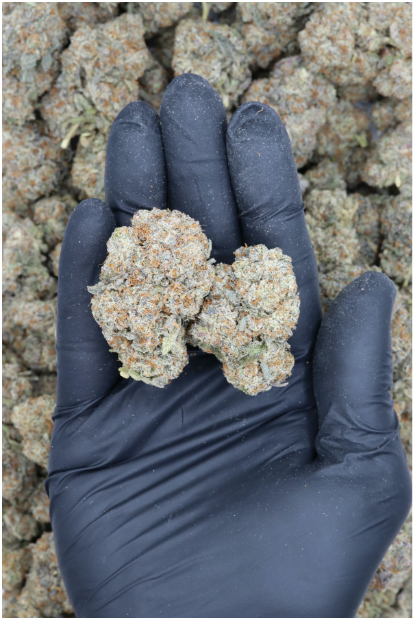 Wedding Cake All Strains butter Wedding Cake All Strains butter