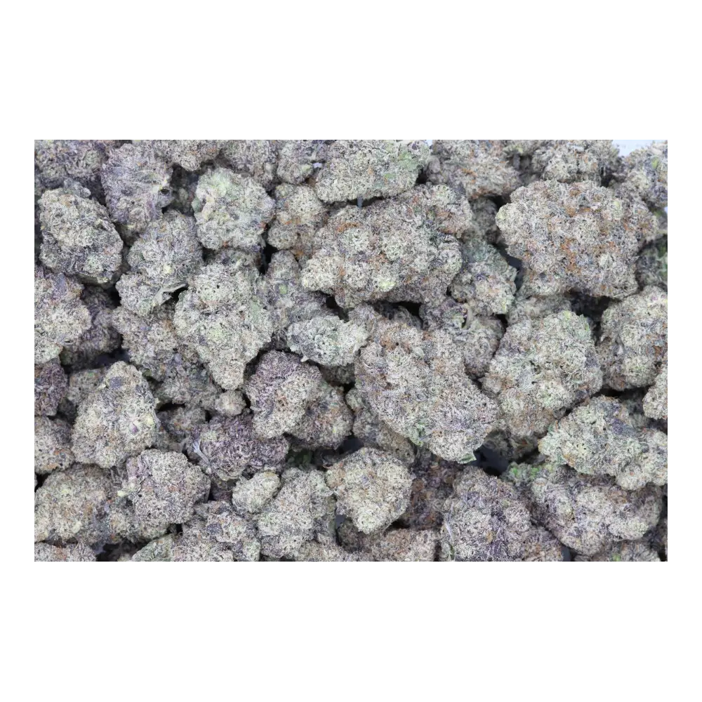 Black Biscotti All Strains Black Biscotti Black Biscotti All Strains Black Biscotti