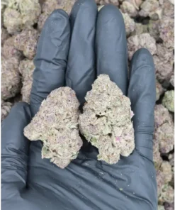 Black Cherry Cola All Strains Black Cherry Cola