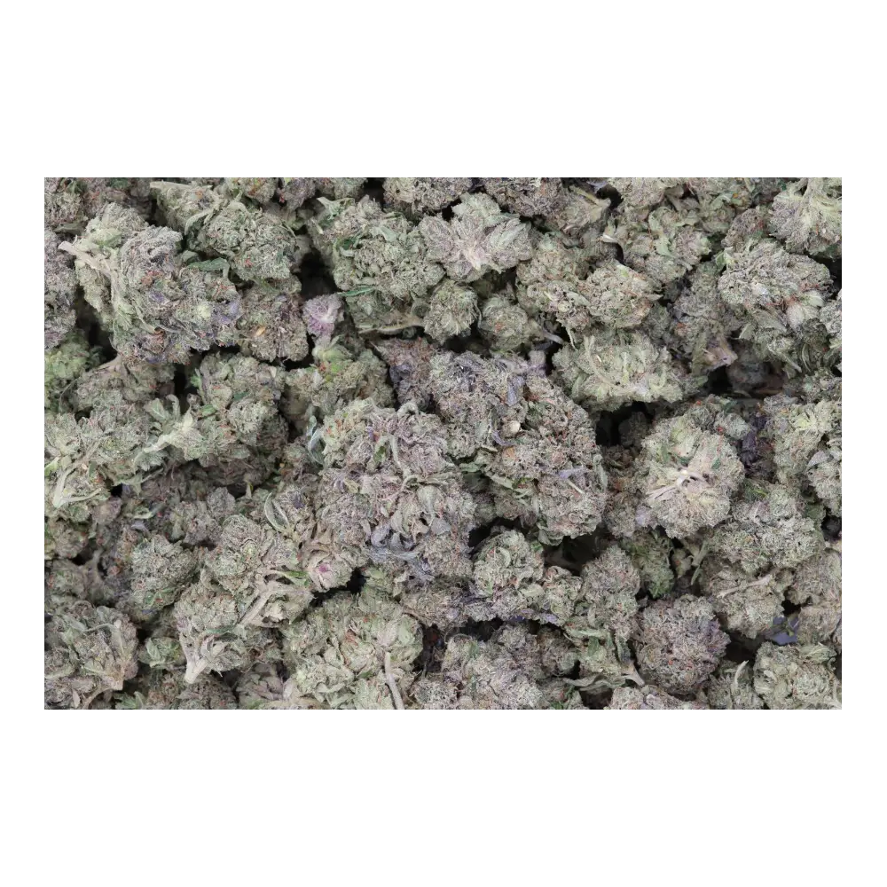 Black Tuna OG All Strains Black Tuna OG Black Tuna OG All Strains Black Tuna OG