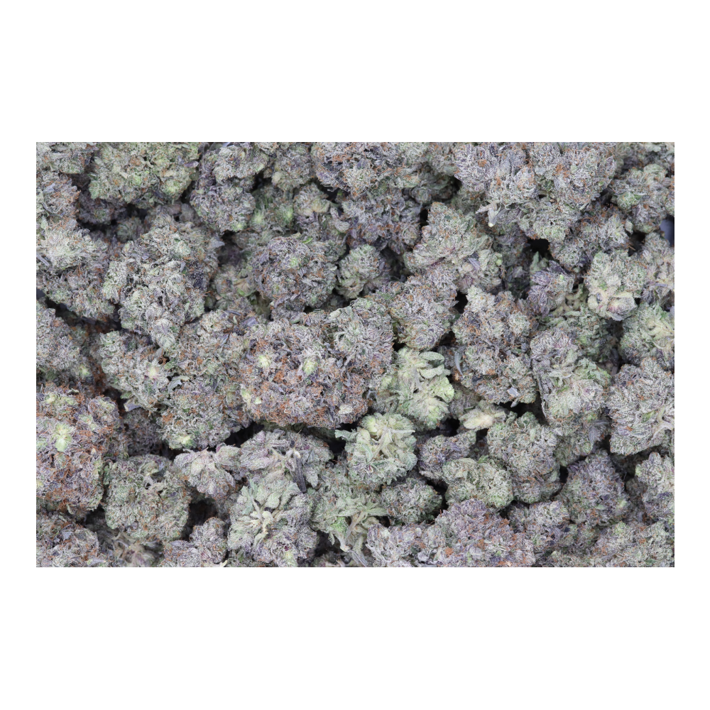 Gas Militia – Wagyu Pink All Strains Cannabis Flower Gas Militia – Wagyu Pink All Strains Cannabis Flower