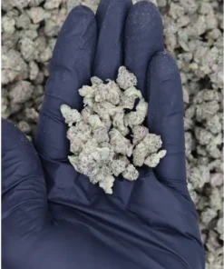 Black Sherbet All Strains Black Sherbet Black Sherbet All Strains Black Sherbet