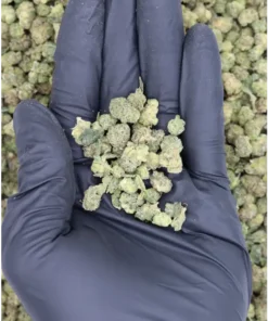 Mango Haze Smalls All Strains Cannabis Flower