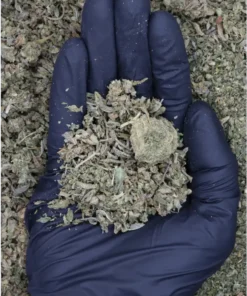 Tropic Truffle Smalls All Strains Cannabis Flower Tropic Truffle Smalls All Strains Cannabis Flower