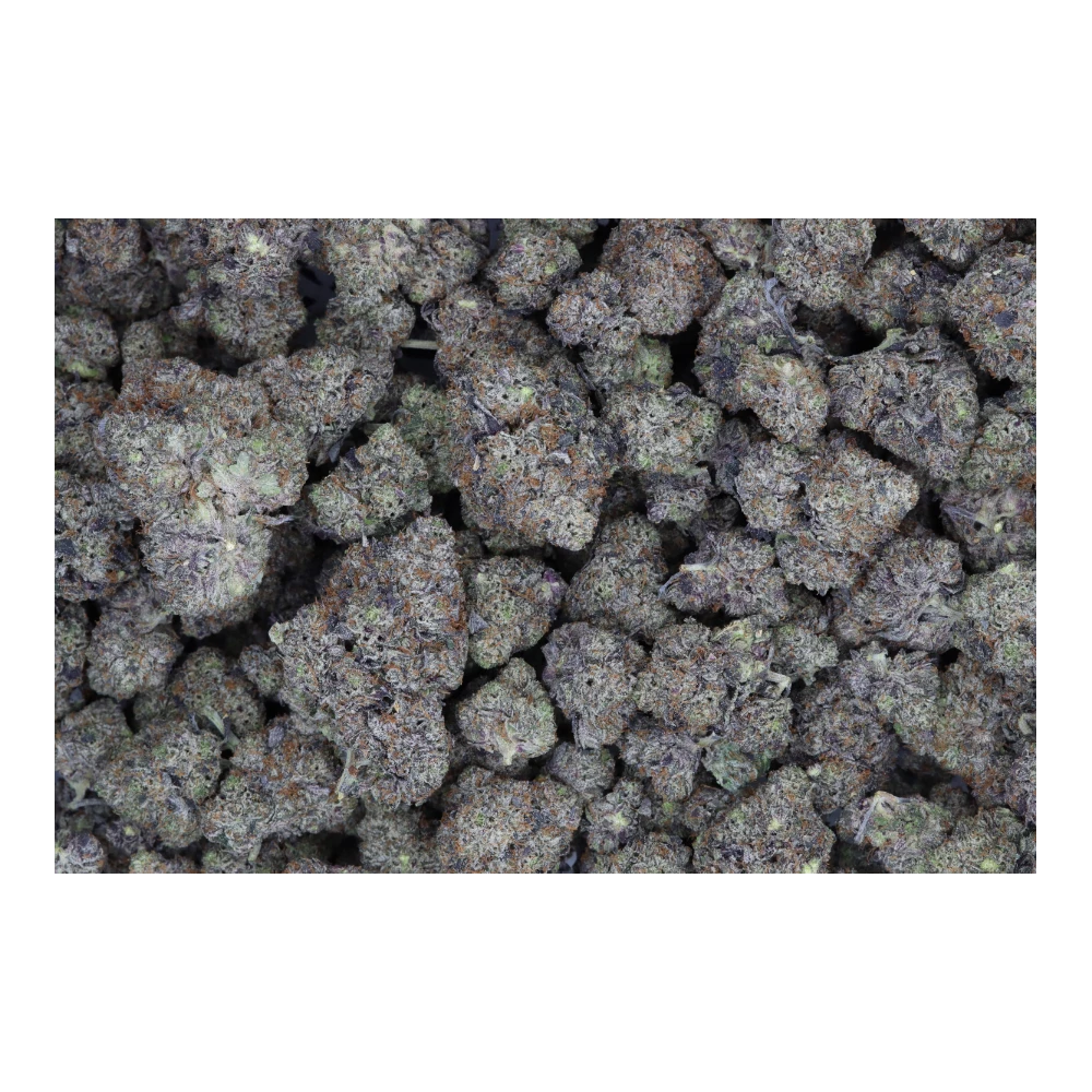 Gas Militia – Black Gas All Strains Cannabis Flower Gas Militia – Black Gas All Strains Cannabis Flower