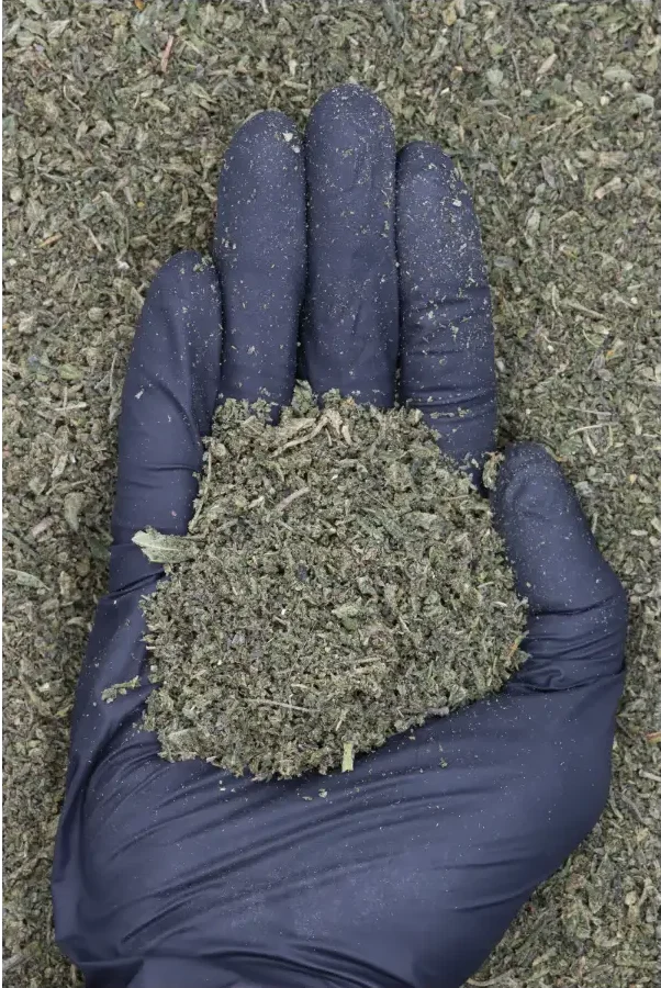 Godfather OG Shake (1lb) All Strains bulk Godfather OG Shake (1lb) All Strains bulk