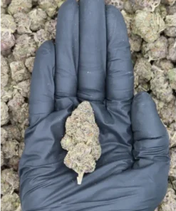 Red Velvet Cake All Strains candy