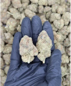 Sour Amnesia (1/2lb) Wholesale Flower bulk