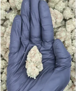Sour Grape Cookies All Strains Cannabis Flower