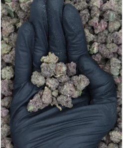 Cherry Tangerine All Strains Boosts Mood Cherry Tangerine All Strains Boosts Mood