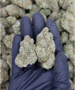 Cherry Blasters All Strains Cannabis Flower