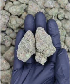 Warheads All Strains Cannabis Flower