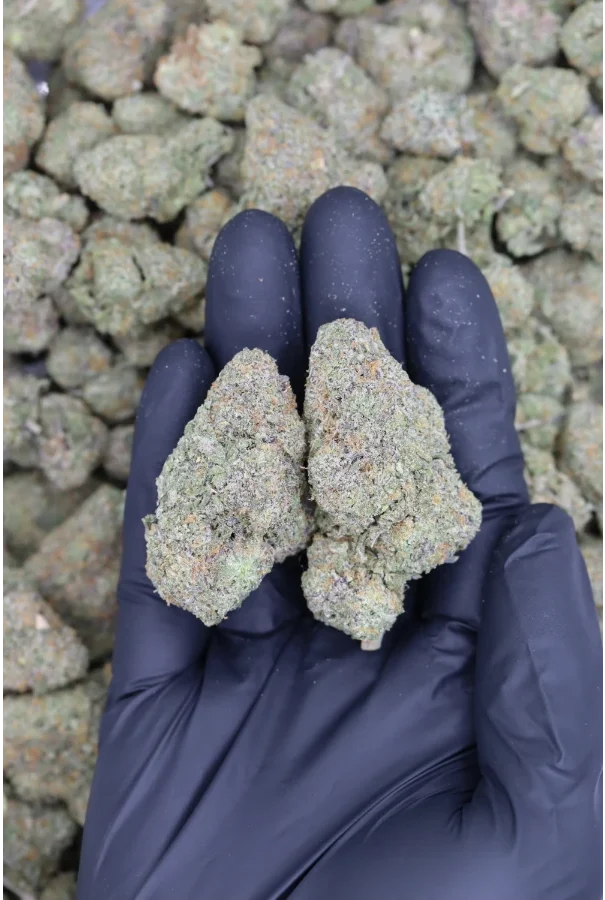 Warheads All Strains Cannabis Flower Warheads All Strains Cannabis Flower